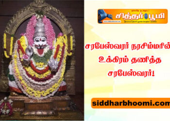 உக்கிரம் தணித்த சரபேஸ்வரர்