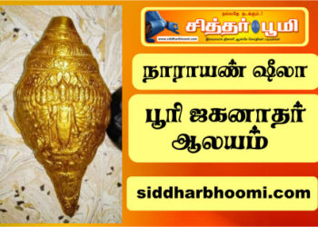 நாராயண் ஷீலா