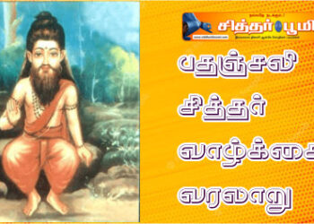 பதஞ்சலி சித்தர் வாழ்க்கை வரலாறு