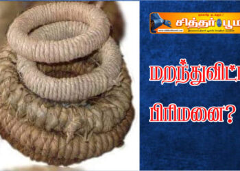 மறந்துவிட்ட பிரிமனை?