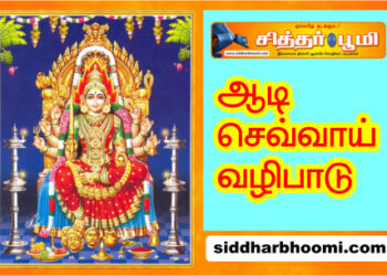 ஆடி செவ்வாய் வழிபாடு