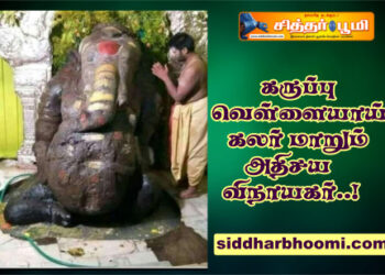 கருப்பு வெள்ளையாய் கலர் மாறும் அதிசய விநாயகர்..!