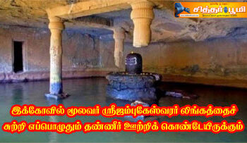 ஸ்ரீ ஜம்புகேஸ்வரர்