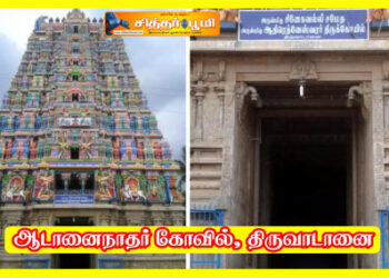 ஆடானைநாதர் கோவில், திருவாடானை