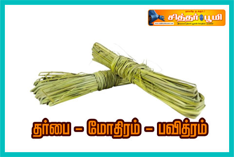 தர்பை – மோதிரம் – பவித்ரம்