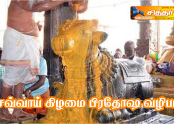 செவ்வாய் கிழமை பிரதோஷ வழிபாடு