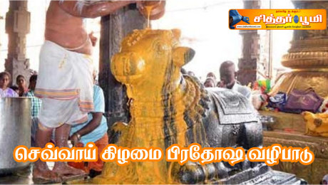 செவ்வாய் கிழமை பிரதோஷ வழிபாடு