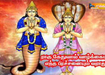 ராகு கேதுவால் வாழ்க்கையில் எந்த பிரச்சனையும் வராது.