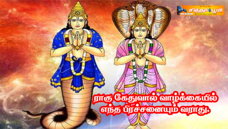 ராகு கேதுவால் வாழ்க்கையில் எந்த பிரச்சனையும் வராது.
