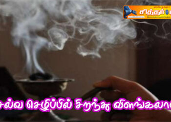 செல்வ செழிப்பில் சிறந்து விளங்கலாம்