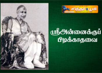 ஸ்ரீஅன்னைக்குப் பிடிக்காதவை