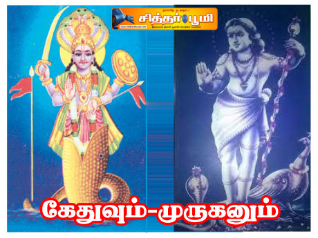 கேதுவும் -முருகனும்.
