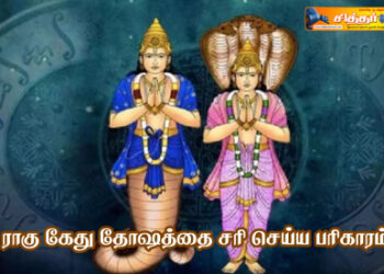 ராகு கேது தோஷத்தை சரி செய்ய பரிகாரம்