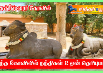 2,500 ஆண்டுகள் பழமையான சுக்ரீஸ்வரர் கோவில் வரலாறு!