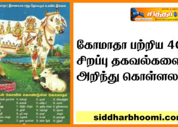 கோமாதா பற்றிய 40 சிறப்பு தகவல்களை அறிந்து கொள்ளலாம்.