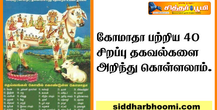 கோமாதா பற்றிய 40 சிறப்பு தகவல்களை அறிந்து கொள்ளலாம்.