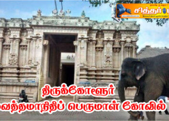திருக்கோளூர் வைத்தமாநிதிப் பெருமாள் கோவில்.