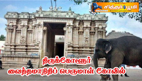 திருக்கோளூர் வைத்தமாநிதிப் பெருமாள் கோவில்.