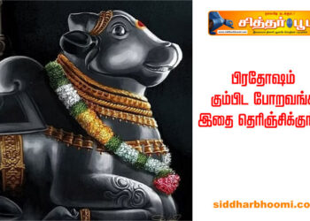 பிரதோஷம் கும்பிட போறவங்க இதை தெரிஞ்சிக்குங்க!