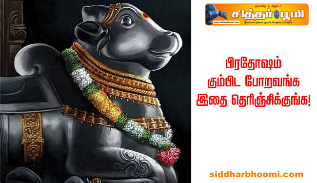 பிரதோஷம் கும்பிட போறவங்க இதை தெரிஞ்சிக்குங்க!