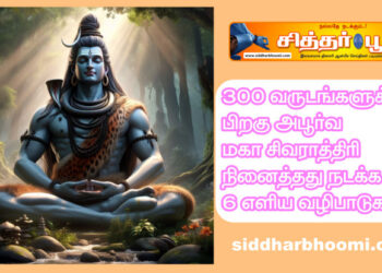 300 வருடங்களுக்குப் பிறகு அபூர்வ மகா சிவராத்திரி நினைத்தது நடக்க 6 எளிய வழிபாடுகள்.!