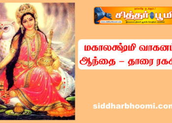 மகாலக்ஷ்மி வாகனம் – ஆந்தை – தாரை ரகசியம்
