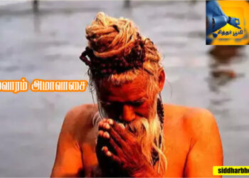 சோமவாரம் அமாவாசை