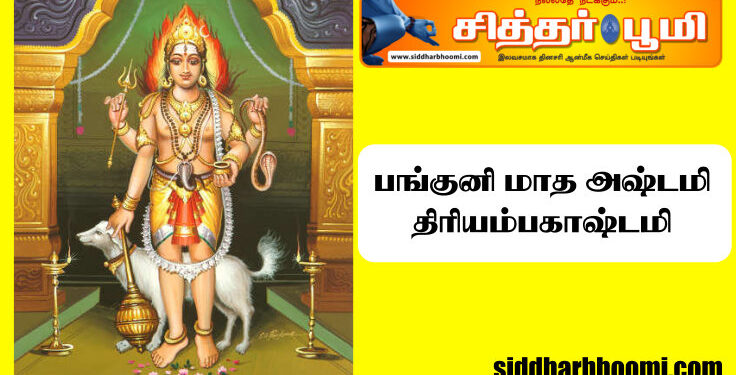 தேய்பிறை அஷ்டமி 02.04.24 பங்குனி மாத அஷ்டமி திரியம்பகாஷ்டமி.