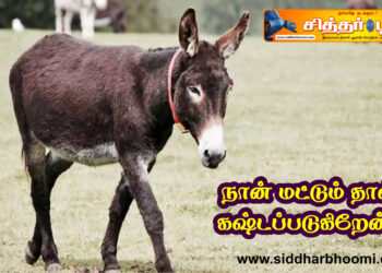 நான் மட்டும் தான் கஷ்டப்படுகிறேன்?