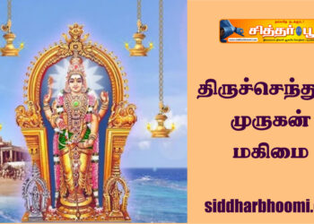 திருச்செந்தூர் முருகன் மகிமை!.