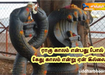 ராகு காலம் என்பது போல் கேது காலம் என்று ஏன் இல்லை..?