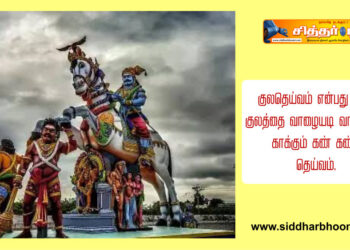 குலதெய்வம் என்பது நமது குலத்தை வாழையடி வாழையாக காக்கும் கண் கண்ட தெய்வம்.