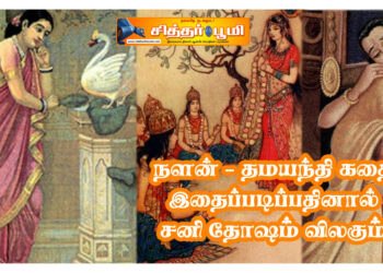 நளன் – தமயந்தி கதை இதைப்படிப்பதினால் சனி தோஷம் விலகும்
