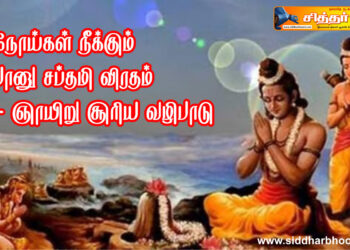 நோய்கள் நீக்கும் பானு சப்தமி விரதம் – ஞாயிறு சூரிய வழிபாடு