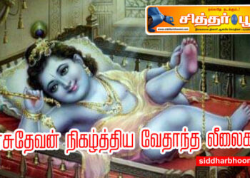 வாசுதேவன் நிகழ்த்திய வேதாந்த லீலைகள்