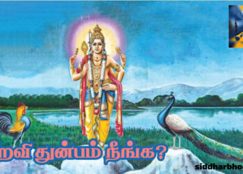 பிறவி துன்பம் நீங்க?