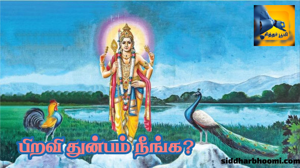 பிறவி துன்பம் நீங்க?