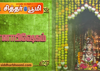 அன்னாபிஷேகம்