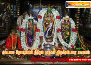 கல்யாண தோஷங்கள் நீக்கும் முருகன் திருக்கல்யாண வைபவம்.