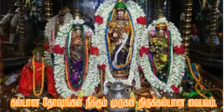 கல்யாண தோஷங்கள் நீக்கும் முருகன் திருக்கல்யாண வைபவம்.