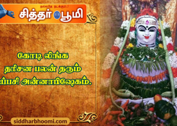 கோடி லிங்க தரிசன பலன் தரும் ஐப்பசி அன்னாபிஷேகம்.