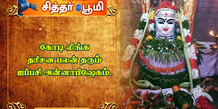 கோடி லிங்க தரிசன பலன் தரும் ஐப்பசி அன்னாபிஷேகம்.