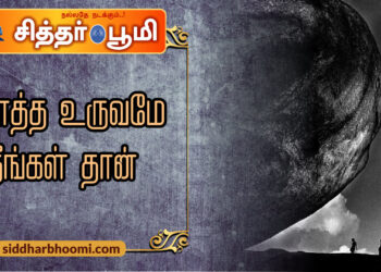 மொத்த உருவமே நீங்கள் தான்