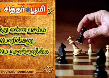 அடுத்து என்ன செய்ய போறிங்கனு வெளியே சொல்லாதீங்க