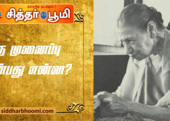 ஒருமுனைப்பு என்பது என்ன?