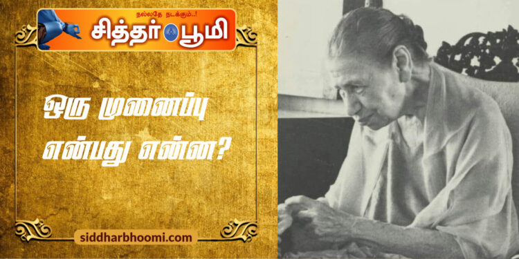 ஒருமுனைப்பு என்பது என்ன?