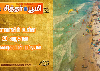 கோவாவில் உள்ள 20 அழகான கடற்கரைகளின் பட்டியல்