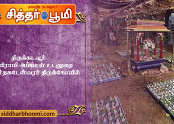 திருக்கடவூர் ஸ்ரீ அபிராமி அம்பாள் உடனுறை ஸ்ரீ அமிர்தகடேஸ்வரர் திருக்கோயில்