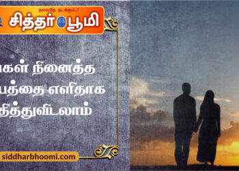 நீங்கள் நினைத்த காரியத்தை எளிதாக சாதித்துவிடலாம்