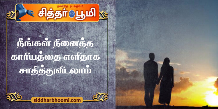 நீங்கள் நினைத்த காரியத்தை எளிதாக சாதித்துவிடலாம்